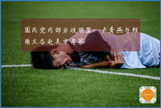 国民党内部分歧明显，卢秀燕与郑丽文各赴美中考察