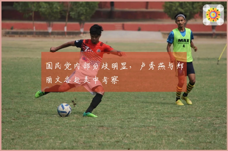 国民党内部分歧明显，卢秀燕与郑丽文各赴美中考察