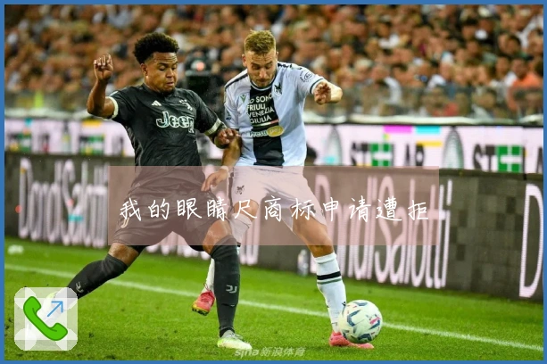 我的眼睛尺商标申请遭拒